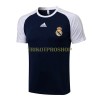 Real Madrid Trainingsshirts Suit 2022-23 Blau Weiß Für Herren